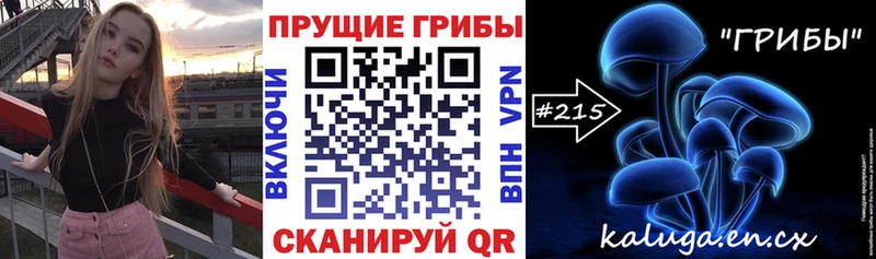 Псилоцибиновые грибы мухоморы  hydra маркетплейс  Хадыженск 